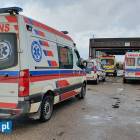 Fotka nr 2 z 18