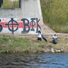 zdjęcie nr 17