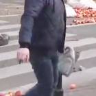 zdjęcie nr 31