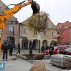zdjęcie nr 12