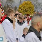 zdjęcie nr 90