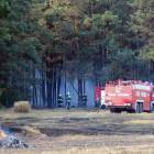 Fotka nr 5 z 12