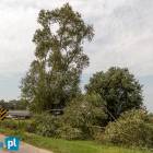 zdjęcie nr 14