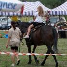 zdjęcie nr 9