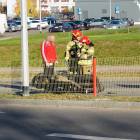 zdjęcie nr 7
