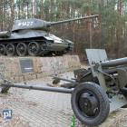 Fotka nr 2 z 7