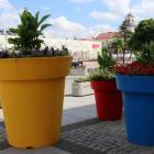 Fotka nr 1 z 15