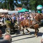 zdjęcie nr 47