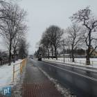 Fotka nr 5 z 7