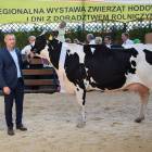 Fotka nr 5 z 17