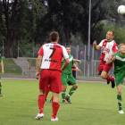 zdjęcie nr 12