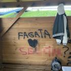 Fotka nr 2 z 8