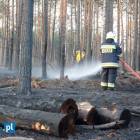 zdjęcie nr 12