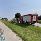 Fotka nr 5 z 7