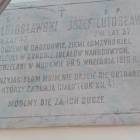 zdjęcie nr 8