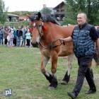 zdjęcie nr 12