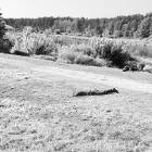 zdjęcie nr 58