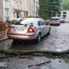 zdjęcie nr 30