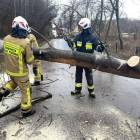 zdjęcie nr 13