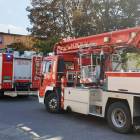 Fotka nr 1 z 11