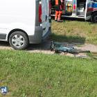 Fotka nr 5 z 7