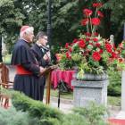 zdjęcie nr 65