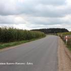 zdjęcie nr 30
