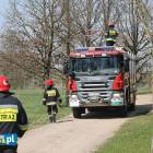 Fotka nr 2 z 12