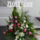 Fotka nr 4 z 33