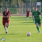 zdjęcie nr 12