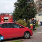 zdjęcie nr 7