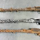 Fotka nr 2 z 3