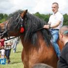 zdjęcie nr 43