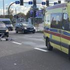 Fotka nr 2 z 4