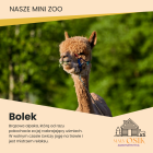 Fotka nr 2 z 12