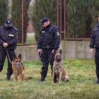 Fotka nr 2 z 17