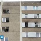 zdjęcie nr 10