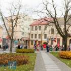 zdjęcie nr 10