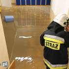 zdjęcie nr 17