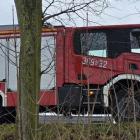 Fotka nr 3 z 4