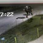 Fotka nr 5 z 8