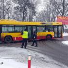 Fotka nr 4 z 5