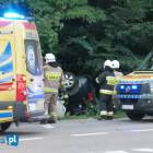 zdjęcie nr 8