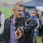 zdjęcie nr 9
