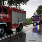 zdjęcie nr 12