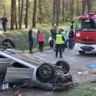 Fotka nr 2 z 11