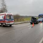 zdjęcie nr 8