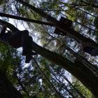 Fotka nr 4 z 6