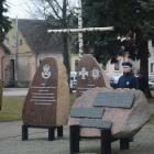 zdjęcie nr 31