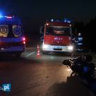 Fotka nr 2 z 14